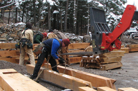 Ouray Timber Frame 01
