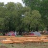 Timber Delivery 04